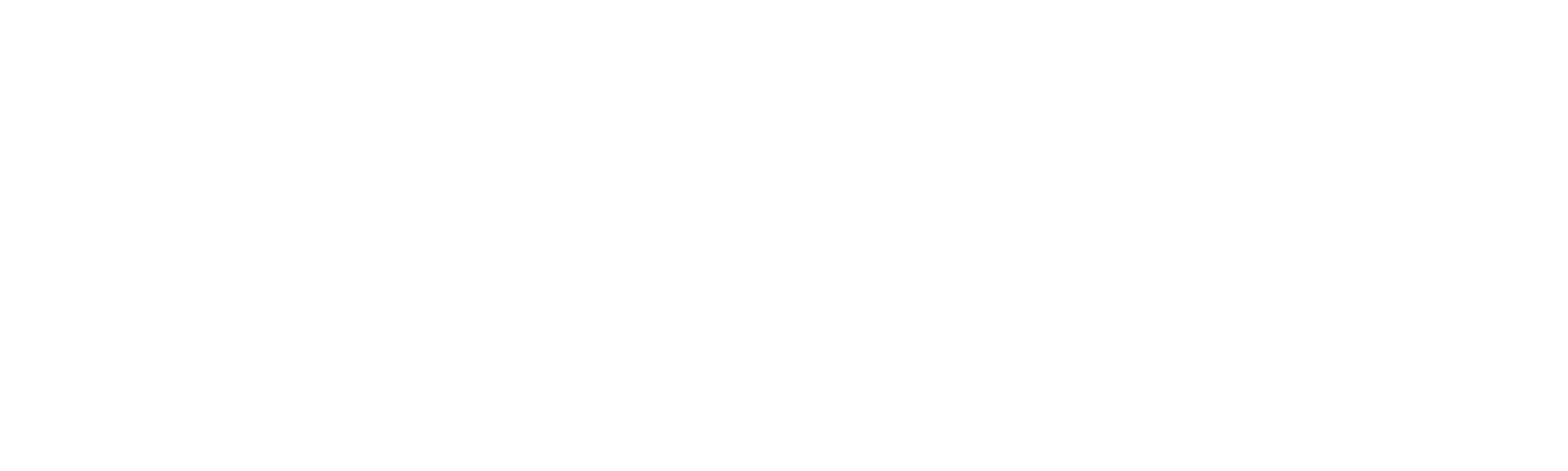 Island Experience logo